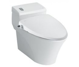 Bồn Cầu INAX AC-1008R/CW-S15VN Nắp Rửa Cơ