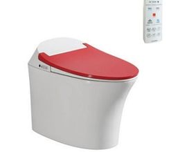 Bồn Cầu Thông Minh Viglacera V93.RW