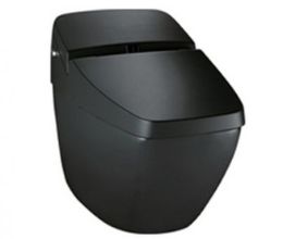 Bàn Cầu Cảm Ứng INAX REGIO DV-R115VH-VN/BKG