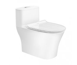 Bồn Cầu Điện Tử American Standard WP-1880PR