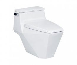 Bồn Cầu COTTO C10077 Một Khối Glacier