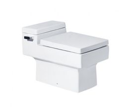 Bàn Cầu COTTO C10317 Một Khối Quado Xả Gạt