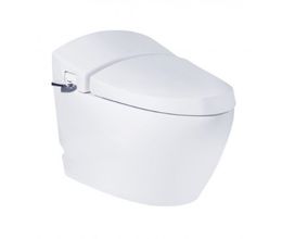 Bồn Cầu COTTO C10037 Một Khối Terranova Cao Cấp