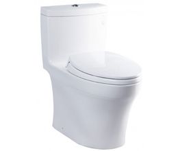 Bồn Cầu TOTO MS889DRT2 (MS889DT2) Một Khối Nắp TC393VS