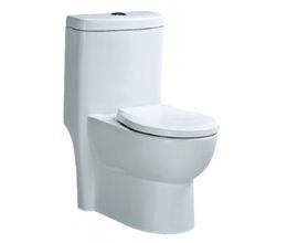 Bàn Cầu CAESAR C1352 Trẻ Em Một Khối